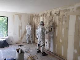 Why You Should Choose Our Mold Remediation Services in Tucker, GA